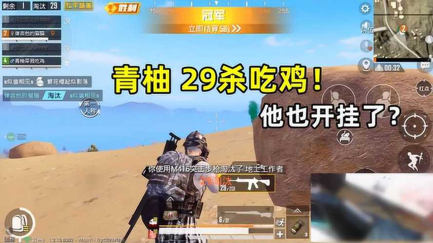 和平精英《向日葵》外挂