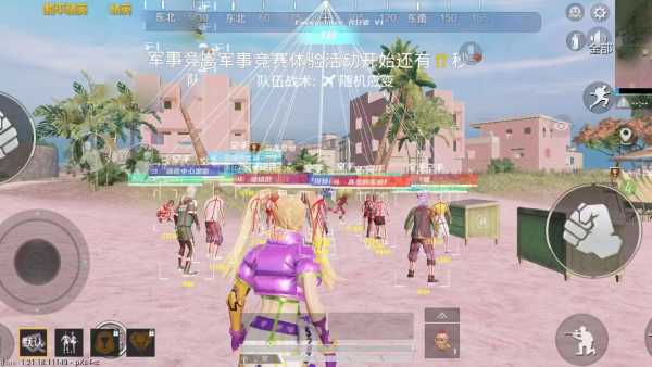 突破游戏界限:探索和平精英辅助工具的神秘世
